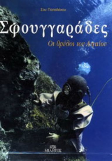 Εικόνα Σφουγγαράδες