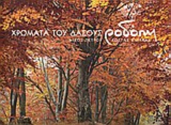 Εικόνα Χρώματα του δάσους: Ροδόπη