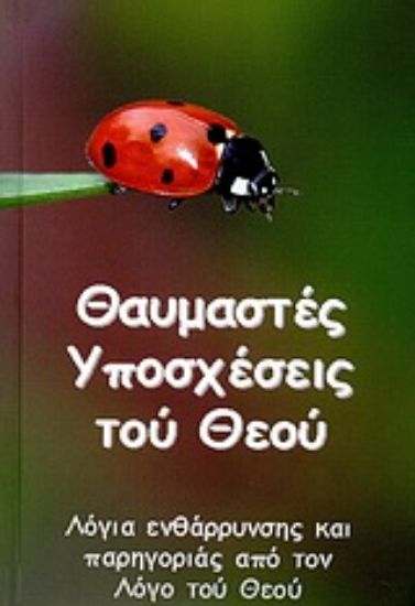 Εικόνα Θαυμαστές υποσχέσεις του Θεού