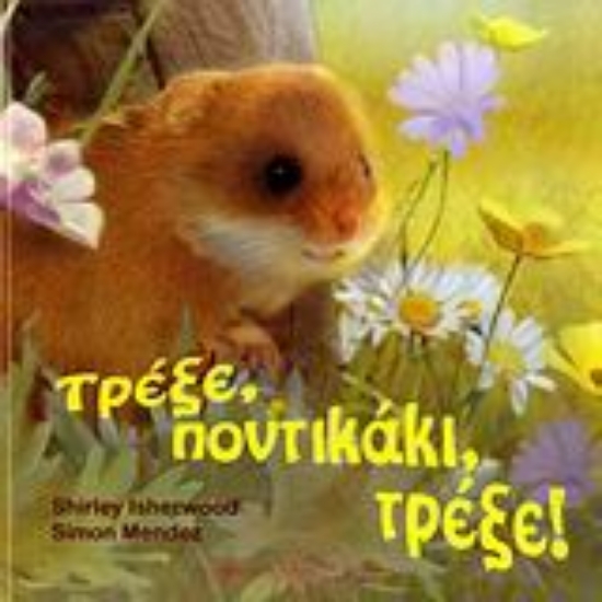 Εικόνα Τρέξε, ποντικάκι, τρέξε!