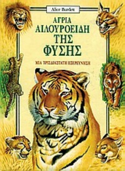 Εικόνα Άγρια αιλουροειδή της φύσης