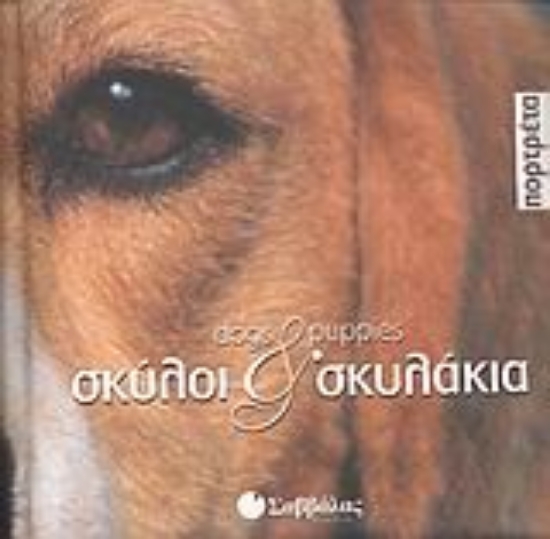 Εικόνα Σκύλοι και σκυλάκια