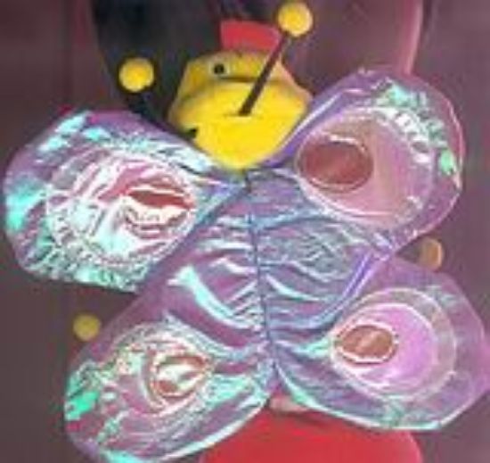 Εικόνα Η πεταλουδίτσα μου!