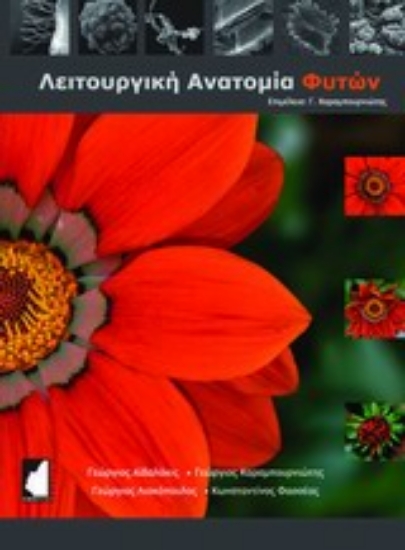 Εικόνα Λειτουργική ανατομία φυτών