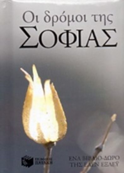 Εικόνα Οι δρόμοι της σοφίας