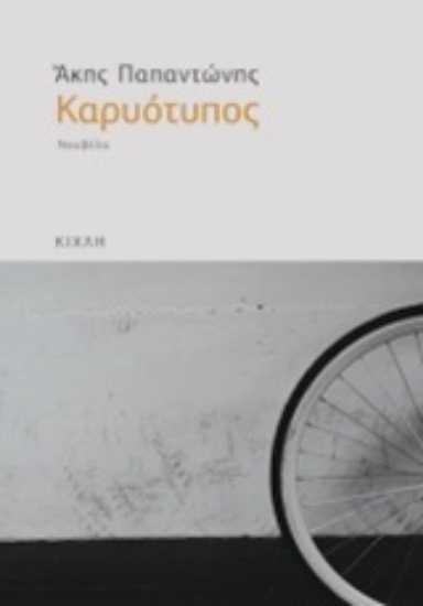 201669-Καρυότυπος