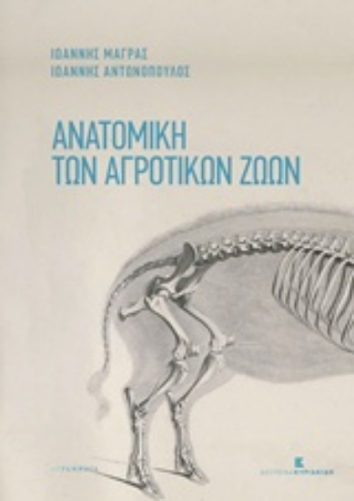 211222-Ανατομική των αγροτικών ζώων