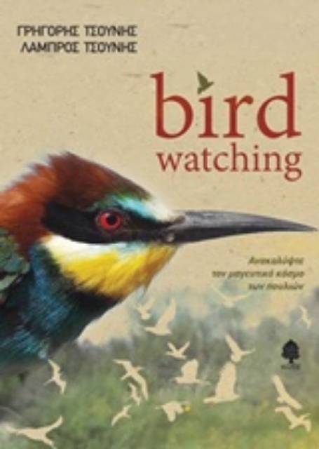 215704-Bird Watching