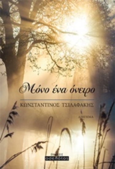 217606-Μόνο ένα όνειρο