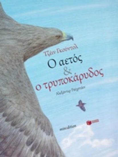 217777-Ο αετός και ο τρυποκάρυδος