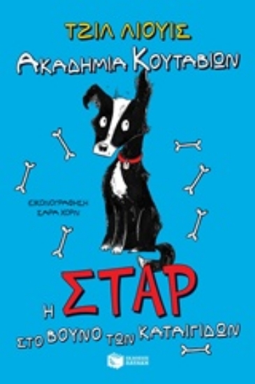 222305-Ακαδημία κουταβιών: Η Σταρ στο βουνό των καταιγίδων