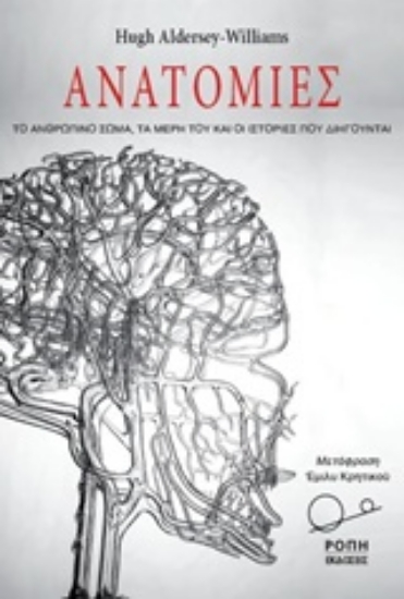 223236-Ανατομίες