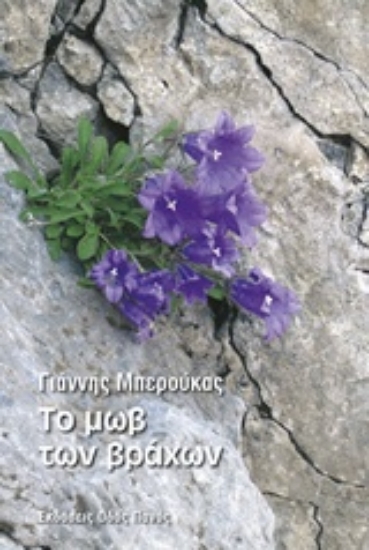 234006-Το μωβ των βράχων