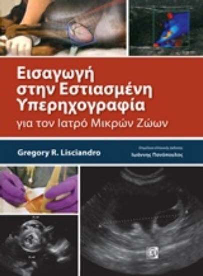 234998-Εισαγωγή στην εστιασμένη υπερηχογραφία