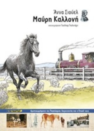 237756-Μαύρη Καλλονή