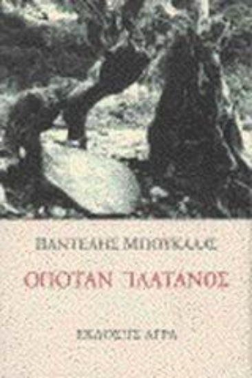 101525-Οπόταν πλάτανος