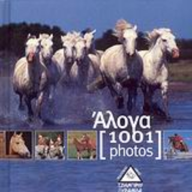 31069-Άλογα [1001 photos]