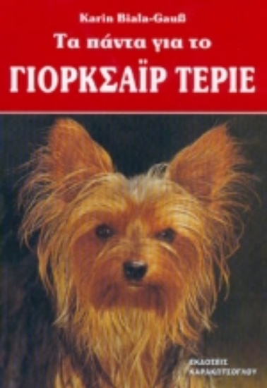 69137-Τα πάντα για το Γιόρκσαϊρ Τεριέ