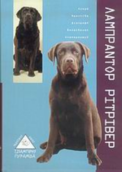 37273-Λαμπραντόρ Ριτρίβερ