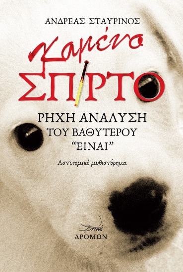 278216-Καμένο σπίρτο