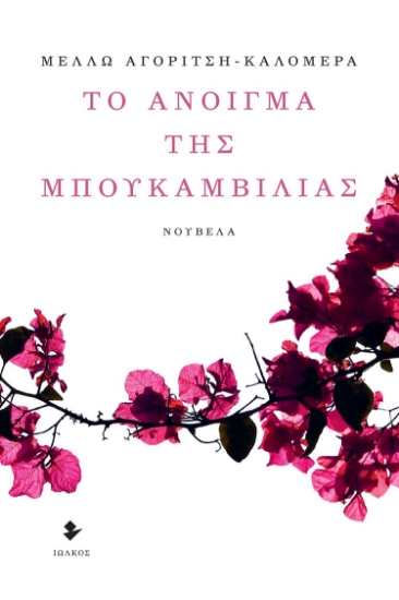 278610-Το άνοιγμα της μπουκαμβίλιας