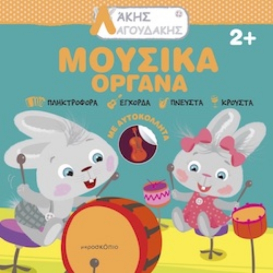 297982-Άκης Λαγουδάκης: Μουσικά όργανα