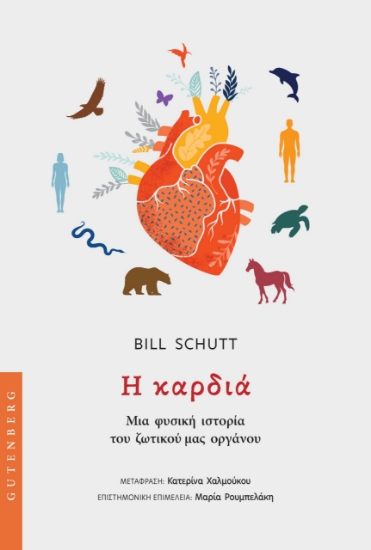 299428-Η καρδιά