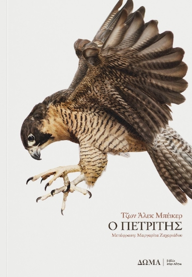 299457-Ο πετρίτης