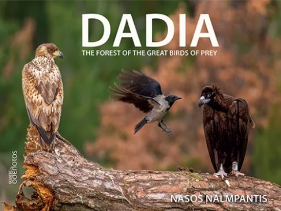 299811-Dadia