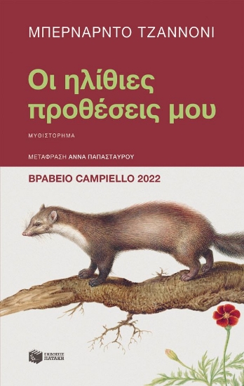 302551-Οι ηλίθιες προθέσεις μου