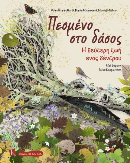 303447-Πεσμένο στο δάσος