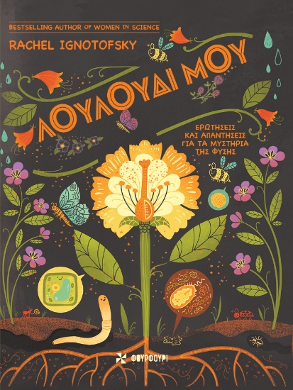 305911-Λουλούδι μου