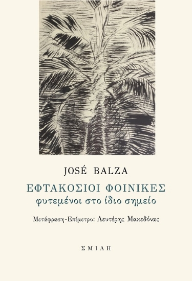 306754-Εφτακόσιοι φοίνικες φυτεμένοι στο ίδιο σημείο