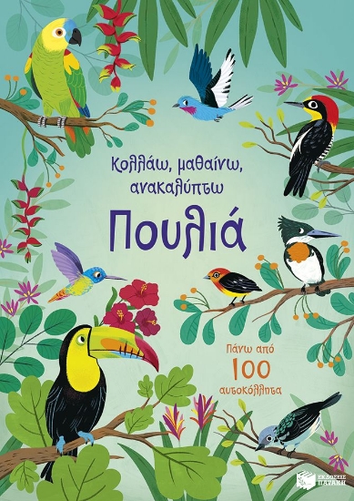 308142-Κολλάω, μαθαίνω, ανακαλύπτω: Πουλιά