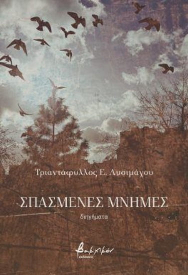 308565-Σπασμένες μνήμες