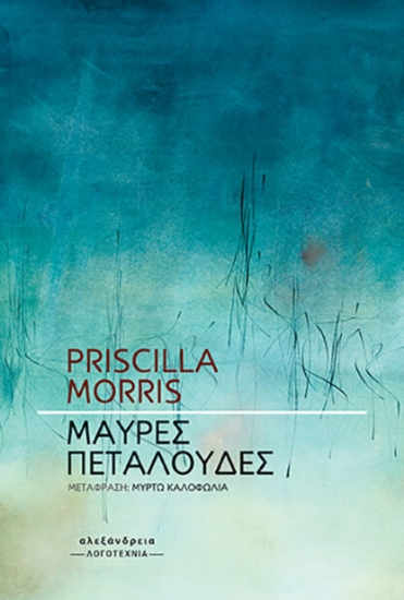 308703-Μαύρες πεταλούδες