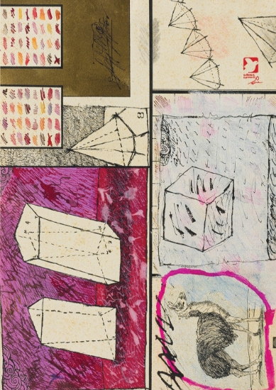 310080-Άγρια άλγεβρα