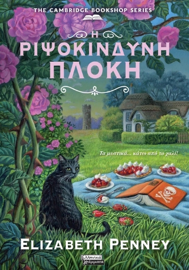 310838-Η ριψοκίνδυνη πλοκή