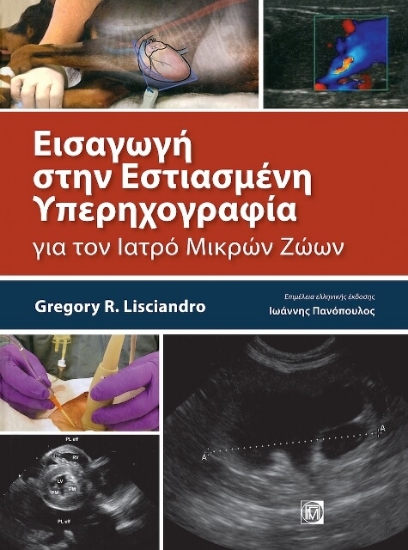 Εικόνα Εισαγωγή στην εστιασμένη υπερηχογραφία