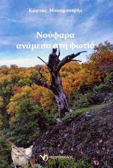 Εικόνα Νούφαρα ανάμεσα στη φωτιά