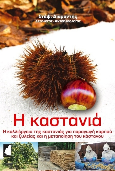 314203-Η καστανιά