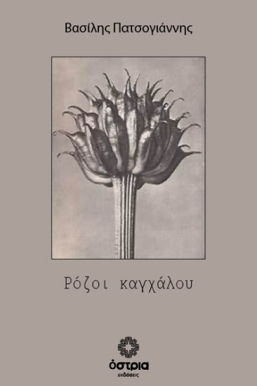 314257-Ρόζοι καγχάλου