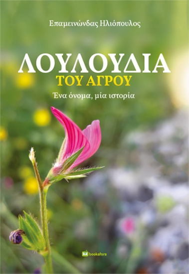 315603-Λουλούδια του αγρού
