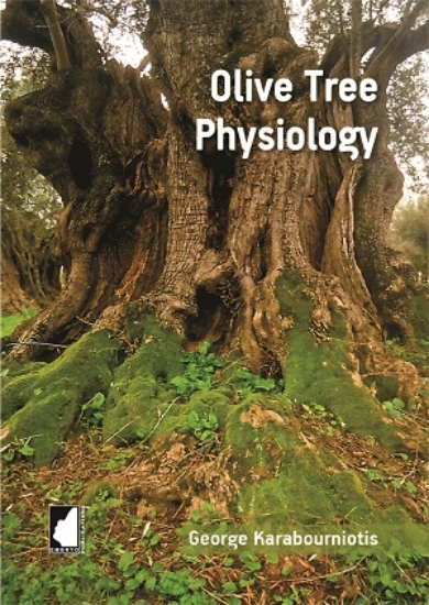 316274-Olive Tree Physiology
