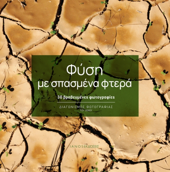 316467-Φύση με σπασμένα φτερά