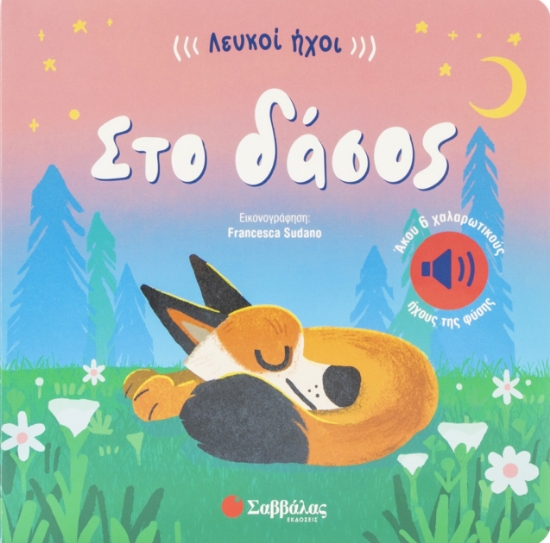 316847-Λευκοί ήχοι: Στο δάσος