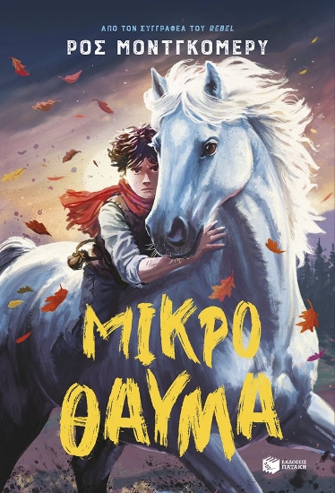 316987-Μικρό θαύμα